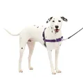 PetSafe Easy Walk No-Pull Dog Harness - The Ultimate Harness to Help Stop Pulling - Take Control & Teach Better Leash Manners - Helps Prevent Pets Pulling on Walks - Medium/Large, Deep Purple/Black