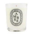 Diptyque I0091937 Scented Candle - Ambre (Amber) Candles