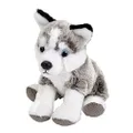 Wild Republic Pocketkins, Husky, Stuffed Animal, 5 Inches, Kids, Plush Toy, Fill is Spun Recycled Water Bottles