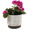 Sill and Sage Fine Line Planter, White, Large