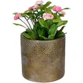 Sill and Sage Dimpled Pot, Gold, Medium