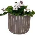 Sill and Sage Hand Drawn Striped Pot, Chocolate, Large