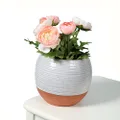 Sill and Sage Terracotta Style Planter, White