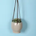 Sill and Sage Ceramic Hanging Pot, Stone, Small