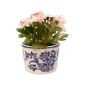 Sill and Sage Blue and White Pot, Parrot (3 Pieces Set)