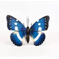 Sill and Sage Butterfly Bell Chime, Blue