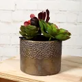 Sill and Sage Dimpled Pot, Gold, Small
