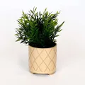 Sill and Sage Tic Tac Toe Pot, Gold, Small