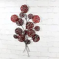 Sill and Sage Roses Wall Art, Red