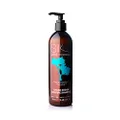 SILK OIL OF MOROCCO Argan Vegan Intense Moisture Sulphate Free Shampoo, Standard Size, Red, 375 ml