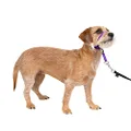 PetSafe Gentle Leader Headcollar, No-Pull Dog Collar – Perfect for Leash & Harness Training – Stops Pets from Pulling and Choking on Walks – Small, Deep Purple