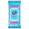 Wet Ones Be Fresh Antibacterial Hand & Body Wipes, Value Pack, 40 Wipes, Gentle on skin, Paraben free, Fresh scent