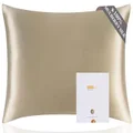 ZIMASILK 100% Mulberry Silk Pillowcase for Hair and Skinwith Hidden ZipperBoth Side 19 Momme Silk 1pc (Queen 20''x30'' Taupe)Gift Box