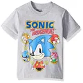 Sega Boys' Sonic The Hedgehog Short Sleeve Tshirt, Heather Grey, 4