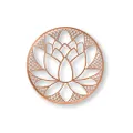 Graham & Brown 104035 Copper Lotus Blossom Wall Art
