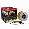 RP Filters RP111 Motorcycle Oil Filter