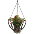 Sill and Sage Rustic Metal Hanging Planter, Large