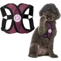 Gooby - Comfort X Step-in Harness, Choke Free Small Dog Harness with Micro Suede Trimming and Patented X Frame, Purple, X-Large
