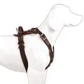 Dingo Gear Exclusive Dog Harness Handmade of Noble Leather Dark Brown XL