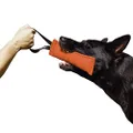 Dingo Gear Nylcot Bite Tug for Dog Training K9 IGP & Fun 1 Handle Orange 28 x 7 cm