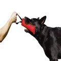 Dingo Gear Nylcot Bite Tug for Dog Training K9 IGP & Fun 1 Handle Red 20 x 7 cm