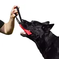 Dingo Gear Nylcot Bite Tug for Dog Training K9 IGP & Fun 1 Handle Red 15 x 5 cm