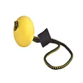 Dingo Gear Magnetic Set for The Dog Training: Encased Magnet and Magnet Handle Rubber Ball S10017