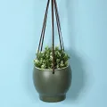 Sill and Sage Ceramic Hanging Pot, Forest Green, Large