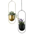 Sill and Sage Halo Hanging Round Planter, Gold