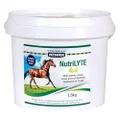 Vetsense Nutrilyte 4 in 1 Electrolyte Vitamin Horse Supplement 1.5 kg