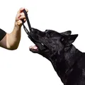Dingo Gear Nylcot Bite Tug for The Dog Training K9 IGP IPO Schutzhund Blind Search Prey Drive Fetch Reward, Handmade of French Material, 1 Handle, Black S00072