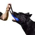 Dingo Gear Nylcot Bite Tug for The Dog Training K9 IGP IPO Schutzhund Blind Search Prey Drive Fetch Reward, Handmade of French Material, 1 Handle, Blue S00060