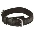 DINGO GEAR Civilian Material Dog Collar Strengthened Universal for Daily Use and Dog Training Black S04045
