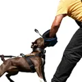 DINGO GEAR Soft Bite Sleeve with a Handle For Puppy Bite Training Handmade of French Material, Blue Mini Decoy Sleeve For Left And Right Hand S01962