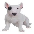 Hi-Line Gift Ltd Bull Terrier Statue
