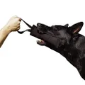 Dingo Gear Nylcot Bite Tug for The Dog Training K9 IGP IPO Schutzhund Blind Search Prey Drive Fetch Reward, Handmade of French Material, 1 Handle, Black S00073