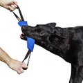 Dingo Gear Nylcot Bite Tug for The Dog Training K9 IGP IPO Schutzhund Blind Search Prey Drive Fetch Reward, Handmade of French Material, 2 Handles, Blue S00063