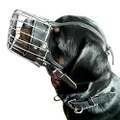 Dingo Gear Dog Training Muzzle, Military K9 Agitation Metal Muzzle for Male Rottweiler S02999