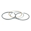 Briggs & Stratton 795690 DTF Ring Set Replaces 795132/790909