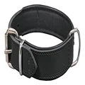 Dingo Dog Collar Made of Exclusive Soft Leather, Luxury and Durable Black 11401