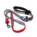 Kurgo 6 in 1 Hands Free Dog Leash |Reflective Running Belt Leash for Dogs, Crossbody & Waist Belt Leash, Carabiner Clip,vPadded Handle for Training, Hiking Or Jogging, Quantum Leash, 6 Colors, Medium