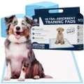 Kennel Club Scented Puppy Training Pads with Ultra Absorbent Quick Dry Gel – 22 x 22 Pee Pads for Dogs - Fresh Scented - Pack of 100