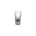 Bormioli Rocco Susa Aperitif Glass 36-Pieces Set, 16 cl Capacity