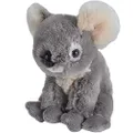 Wild Republic Koala Plush, Stuffed Animal, Plush Toy, Gifts for Kids, Cuddlekins 8 Inches
