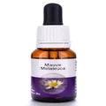 Living Essences of Mauve Melaleuca Essential Oil 15 ml