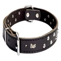 Dingo Designed Leather Dog Collar, Lined with Felt, Decorative Studs, Durable, Black 12479