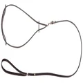 Dingo Smart Fashion for Champion, Leather Show Leash, Black Lead for Exhibition and Dog Ring Show 10704