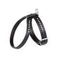 Dingo Glamour Decorative Harness with Crystals for Dogs 34 - 39 cm Black 13130