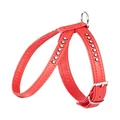 Dingo Glamour Decorative Harness with Crystals for Dogs 34-39 cm Red 13131