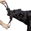 Dingo Gear Nylcot Bite Tug for The Dog Training K9 IGP IPO Schutzhund Blind Search Prey Drive Fetch Reward, Handmade of French Material, 2 Handles, Black S00074